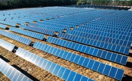 Yatırımda iştahı açık küresel marka yolda