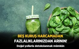 Beş kuruş harcamadan fazlalıklarınızdan arının! Doğal yollarla detokslanmak mümkün