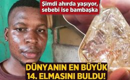 Dünyanın en büyük 14. elmasını buldu! Şimdi ahırda yaşıyor, sebebi çok başka