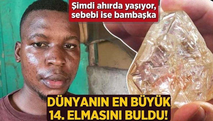 Dünyanın en büyük 14. elmasını buldu! Şimdi ahırda yaşıyor, sebebi çok başka