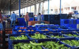 Antalya Toptancı Hali’nde ‘kayıt dışı’ kaybı