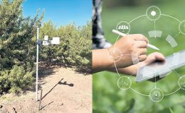 Dijital tarımla çiftçi kazandı