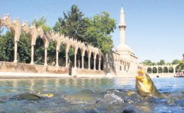 Bereketli hilalin kalbi yatırıma hazır