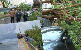 Yurdun batısında fırtına etkili oluyor: İstanbul’da ağaçlar devrildi, İzmir’de hortum oluştu