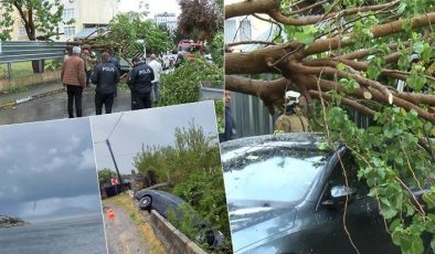Yurdun batısında fırtına etkili oluyor: İstanbul’da ağaçlar devrildi, İzmir’de hortum oluştu