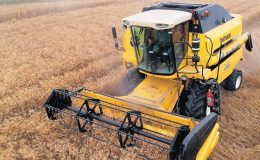 Buğdayda fiyat revize olur mu?