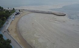 Marmara’da müsilaj endişesi! Uzmanlardan açıklama