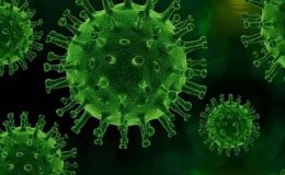 ‘Parvovirüs B19’ tehlikesi! Dikkat: Uyarı geldi