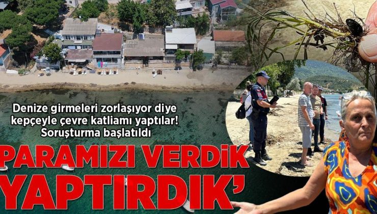 Denize girmeleri zorlaşıyor diye kepçeyle çevre katliamı yaptılar! Soruşturma başlatıldı