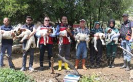 Depremzede besiciler devlet desteğiyle üretime devam ediyor