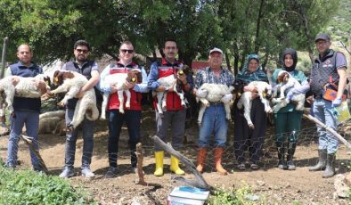 Depremzede besiciler devlet desteğiyle üretime devam ediyor
