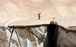 Hakkari’de korkutan tablo! Son 30 yılda yüzde 50’den fazlası yok oldu