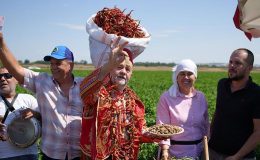 Kavurucu sıcaklar Karaağaç biberinde hasadı geciktirdi