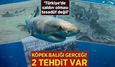 Köpek balığı gerçeği: 2 tehdit var! ‘Türkiye’de saldırı yaşanması tesadüf değil’