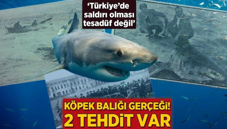 Köpek balığı gerçeği: 2 tehdit var! ‘Türkiye’de saldırı yaşanması tesadüf değil’