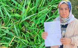 KPSS arasında başına yorgun mermi isabet etmişti! Rabia’dan ÖSYM’ye dilekçe