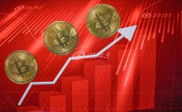 Kripto para piyasası yılın ilk yarısını yükselişle tamamladı