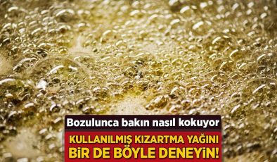 Kullanılmış kızartma yağını bir de böyle deneyin! Bozulunca bakın nasıl kokuyor