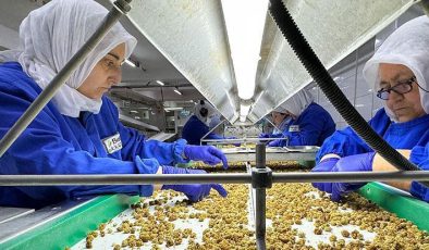 Kuru meyve ihracatı yükseldi