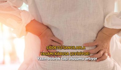 Şiddetli sancılarla yaşamı kâbusa çeviriyor! Yazın böbrek taşı oluşumu artıyor