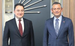 ‘Sokak hayvanları için kırmızı alarmdayız’