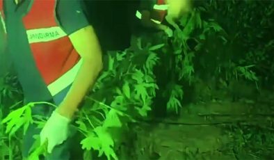 Son dakika! 12 ilde Narkoçelik operasyonları… 57 zehir taciri yakalandı