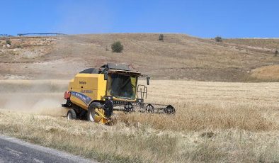 Türkiye’nin tahıl ambarında hasat erken başladı