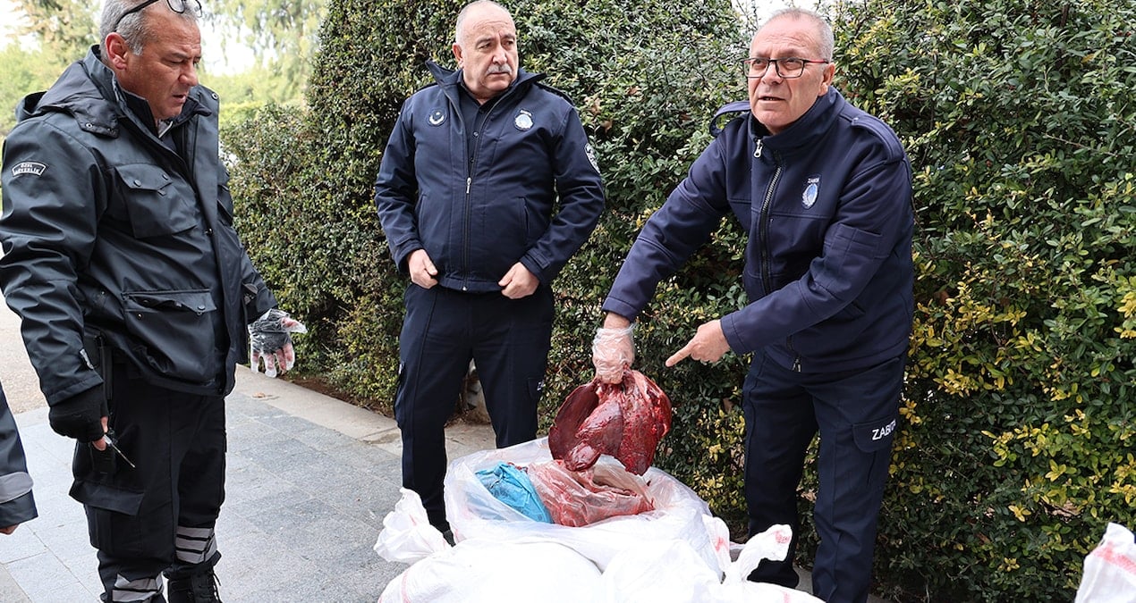 Antalya’da mide bulandıran görüntü: 1.5 ton ciğeri 750 kilometre bagajda taşımışlar