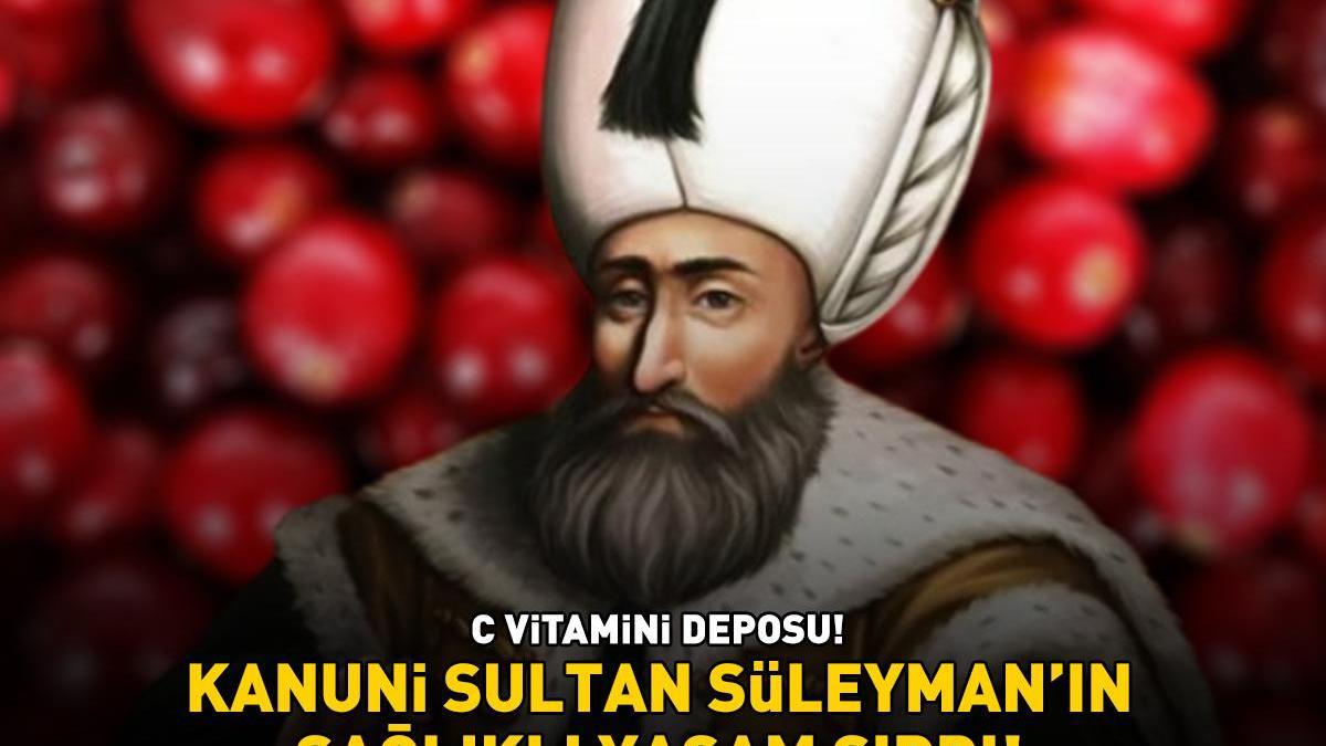 Kanuni Sultan Süleyman’ın sağlıklı yaşam sırrı! C vitamini deposu! Bağışıklığı güçlendiriyor, kalp sağlığını koruyor!